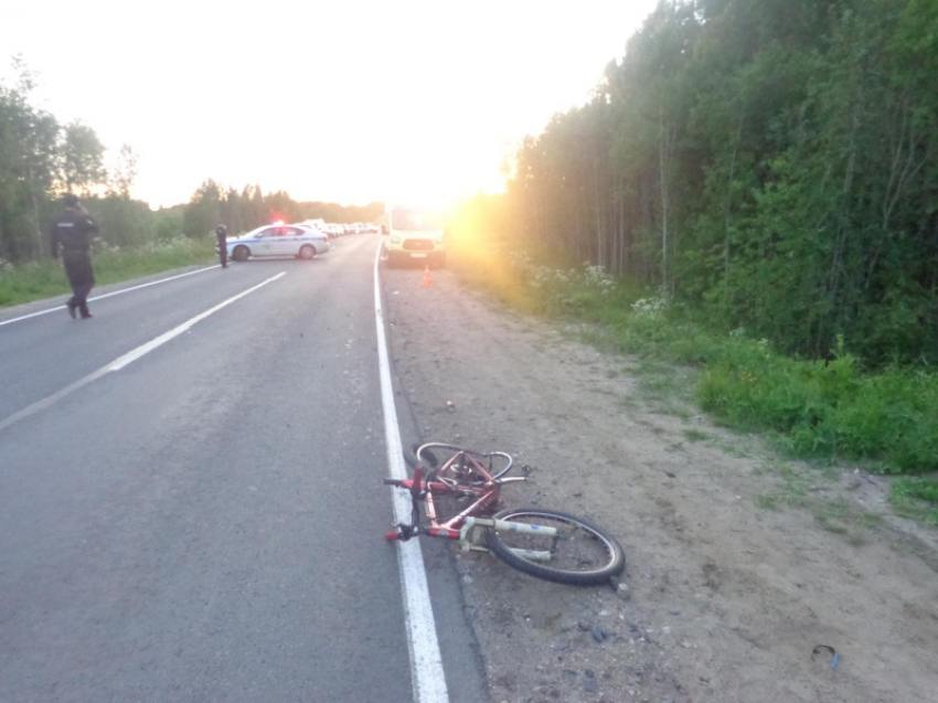 Водитель, сбивший велосипедистов под Новодвинском, заключён под домашний арест